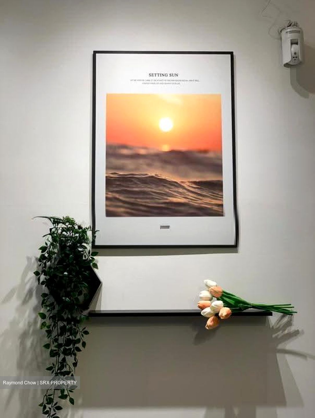 Mayfair Modern (D21), Condominium #617724031